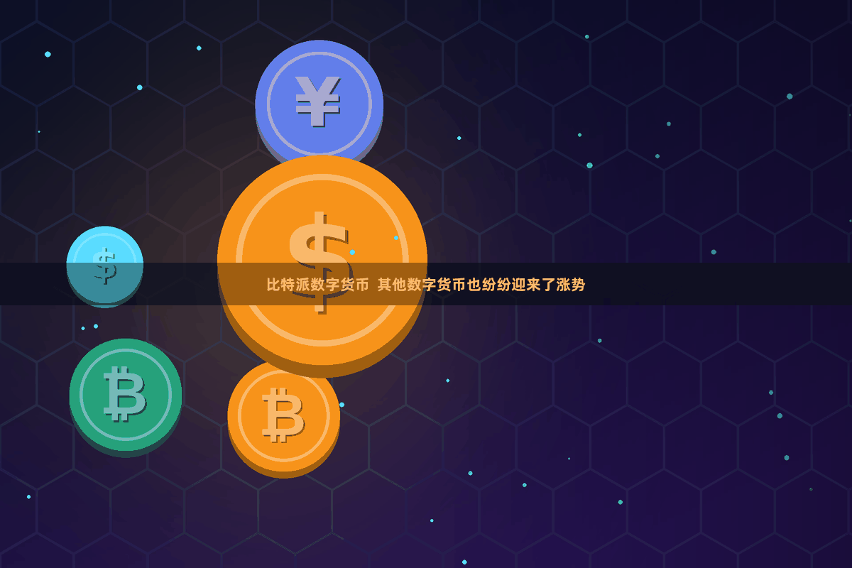 比特派数字货币 其他数字货币也纷纷迎来了涨势