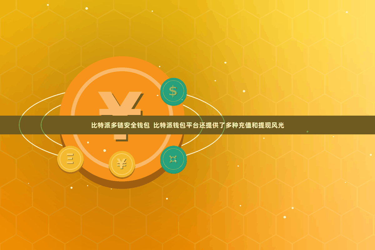 比特派多链安全钱包 比特派钱包平台还提供了多种充值和提现风光